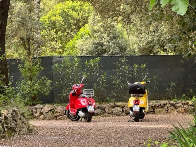 Gite De Saint Cassien モントルー エクステリア 写真